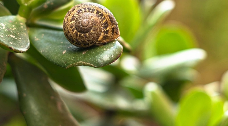 공장 환기설비의 필요성