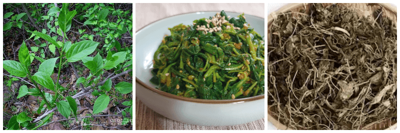 다래순, 다래순 나물무침, 말린 다래순 사진