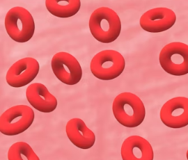 빈혈 증상 원인 치료 방법