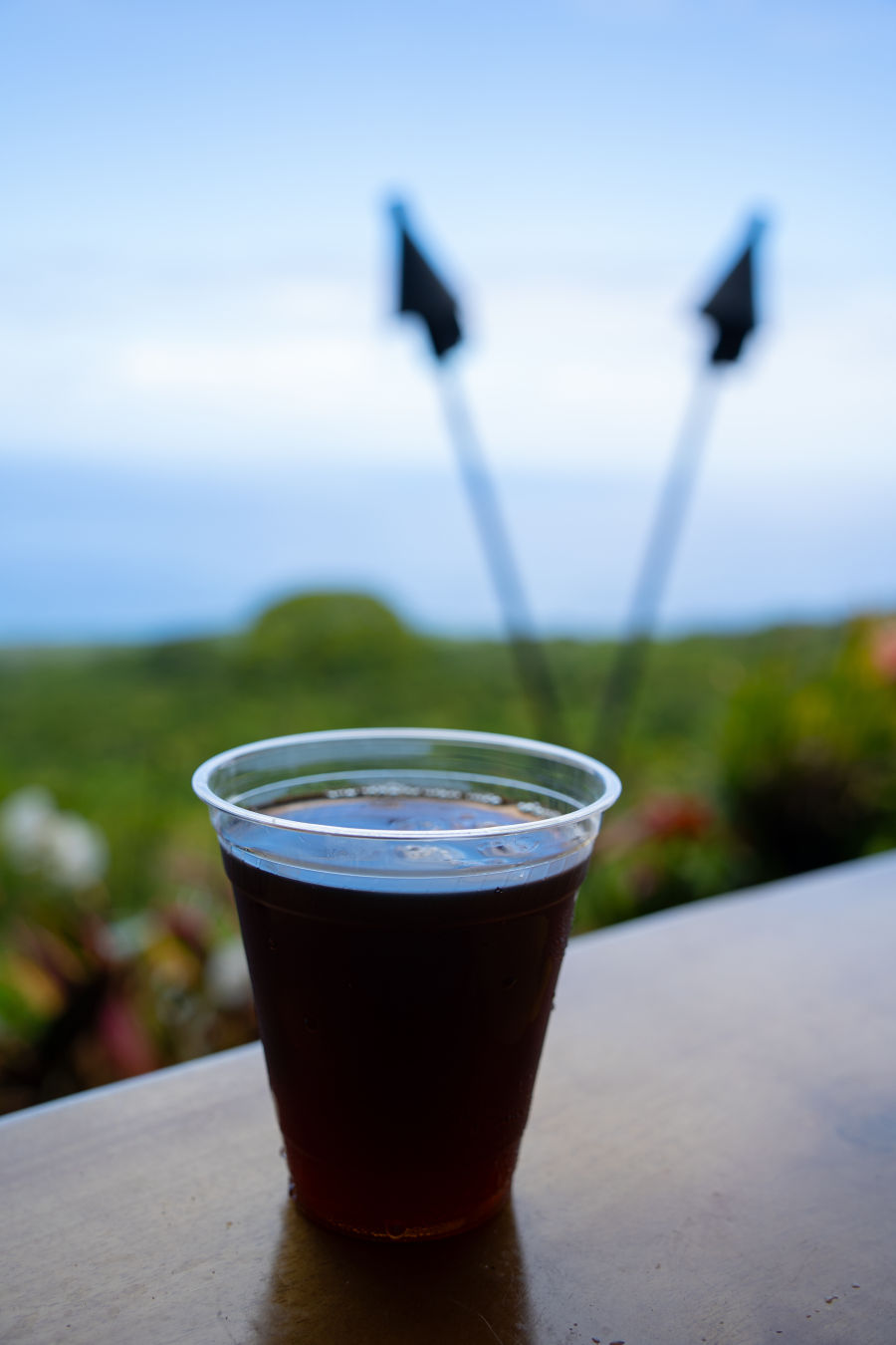 코나 조 3대 커피