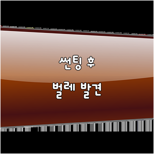 썬팅 시공 후 벌레 발견? 당황하지 ..