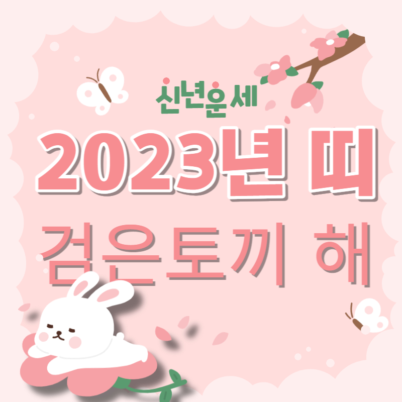 2023년 띠 검은토끼 해 신년운세