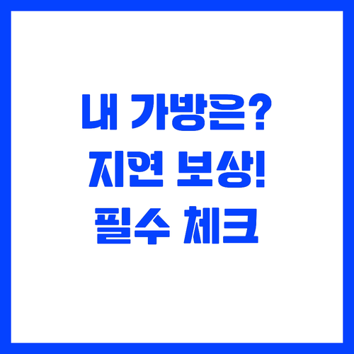 수하물 지연 보상 받는 법과 분실 사..