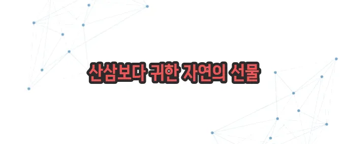 엄나무 효능 이보다 자세히 설명할순없다