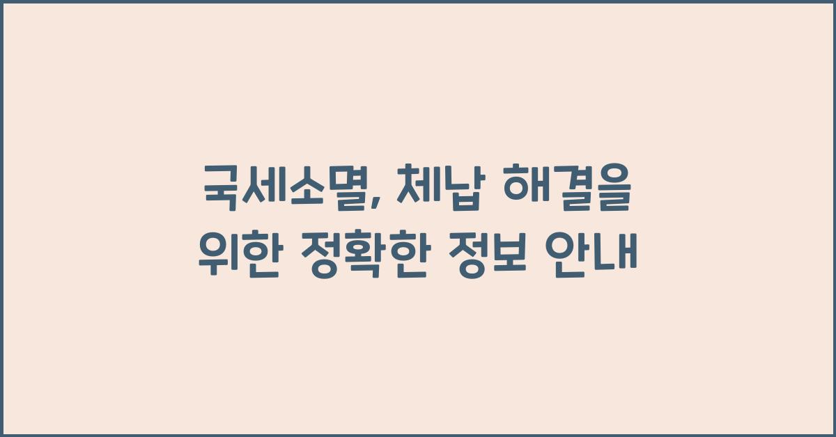 국세소멸