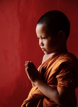 건진법사 프로필