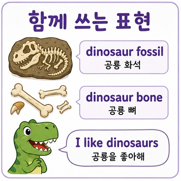 dinosaur fossil은 공룡 화석, dinosaur bone은 공룡 뼈라는 자주 쓰는 영어 표현을 설명한 이미지