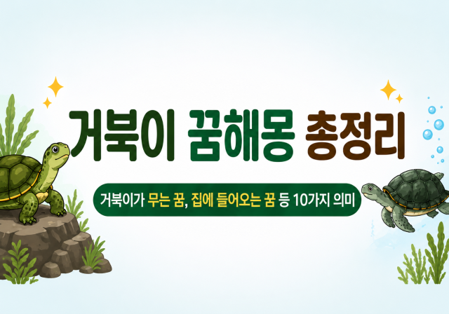 거북이 꿈해몽 총정리 거북이가 무는 꿈, 집에 들어오는 꿈 등 10가지 의미 이미지