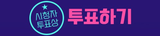 시청자 투표상