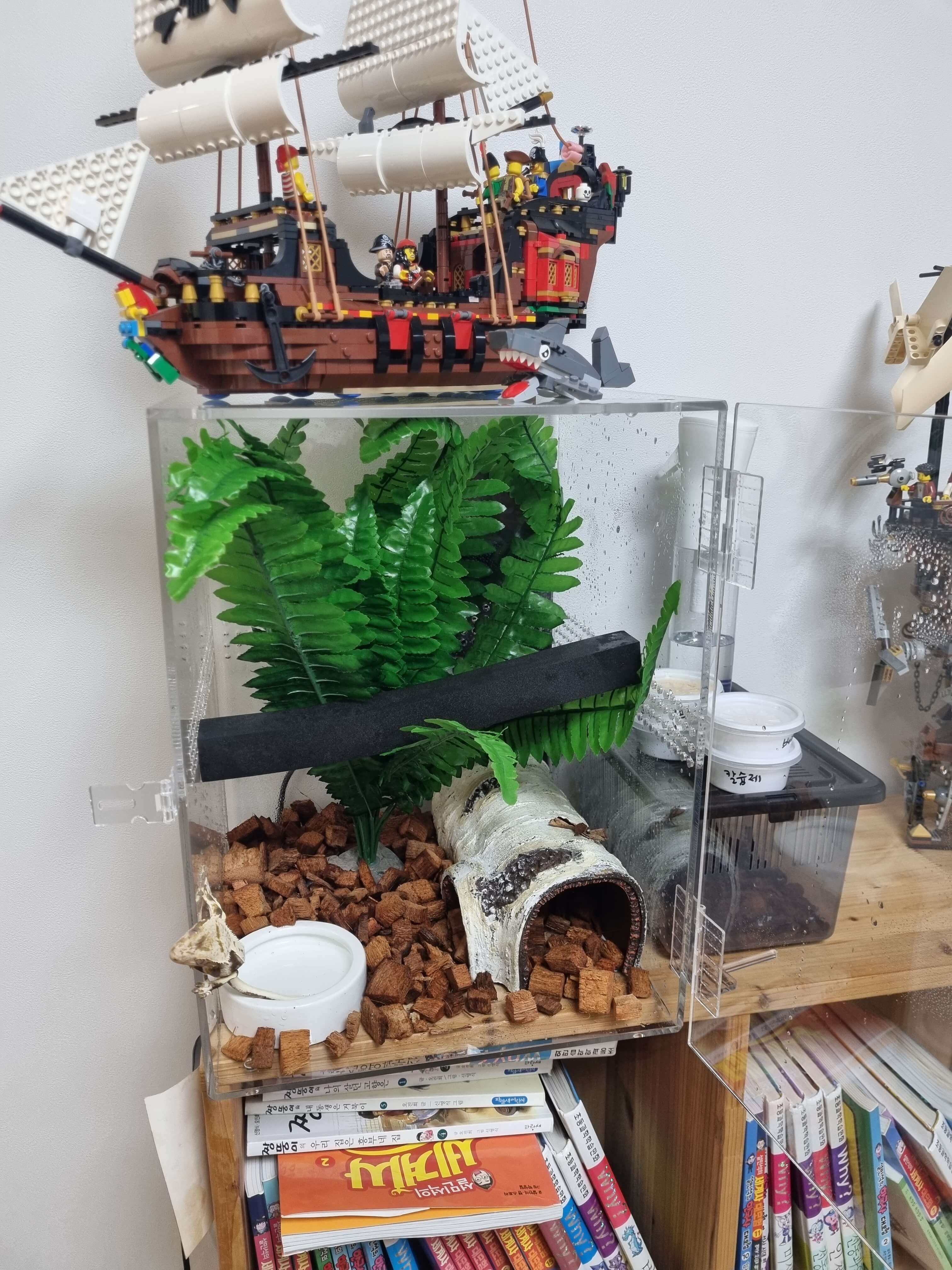 도마뱀 집 세팅