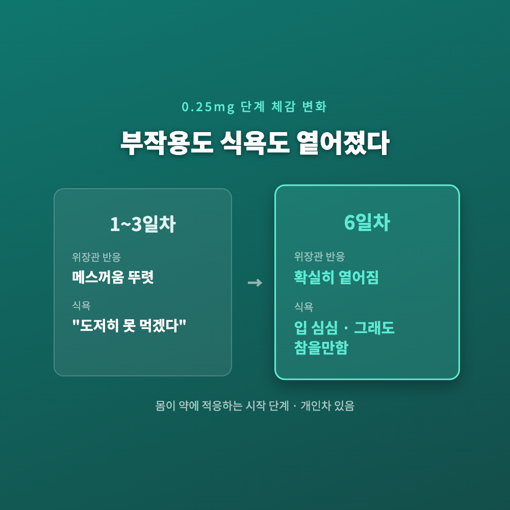 세마글루타이드 0.25mg 초기 용량 단계에서 부작용과 식욕억제 체감이 시간에 따라 옅어지는 변화를 보여주는 카드
세마글루타이드 0.25mg 초기 용량 단계에서 부작용과 식욕억제 체감이 시간에 따라 옅어지는 변화를 보여주는 카드