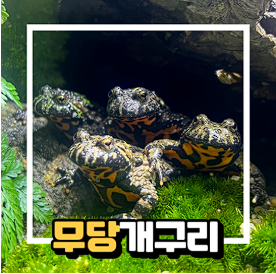 대구 아쿠아리움 입장료 할인