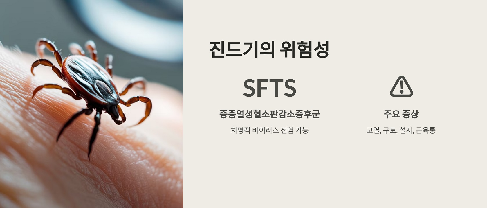 진드기의 위험성