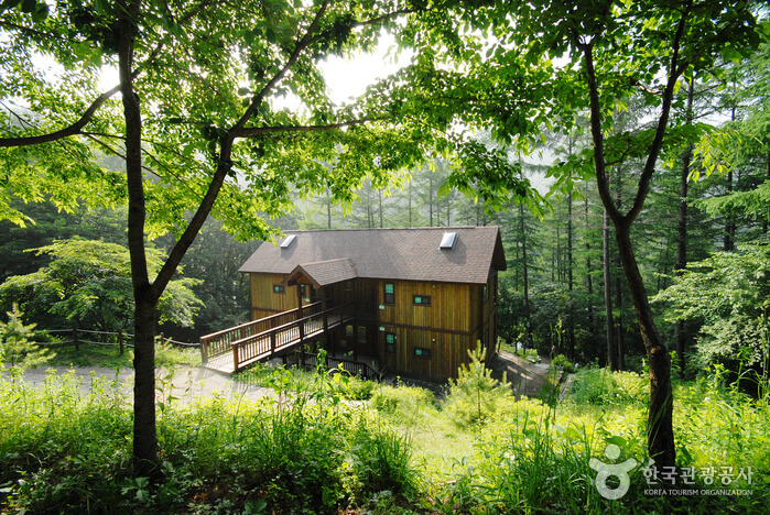 양평 가볼만한곳 베스트 10