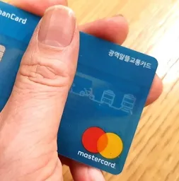 인천 교통 아이폰&middot;애플워치 티머니 NFC 교통카드