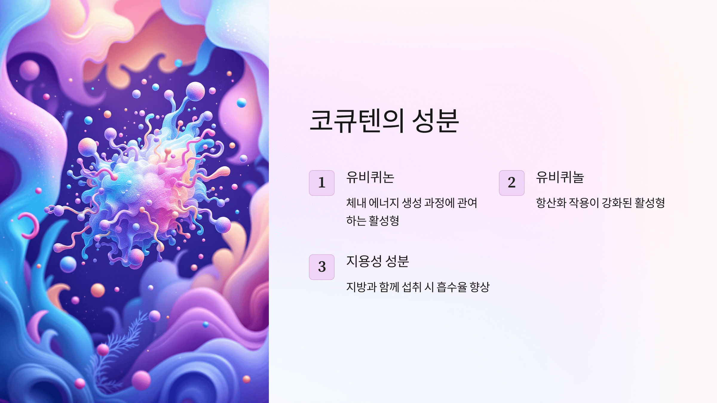 코큐텐과 관련된 사진입니다.