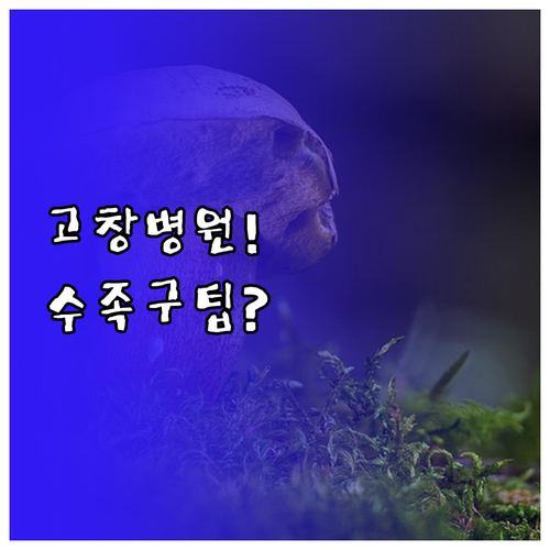 고창군 아이 수족구 진료 병원 추천과..