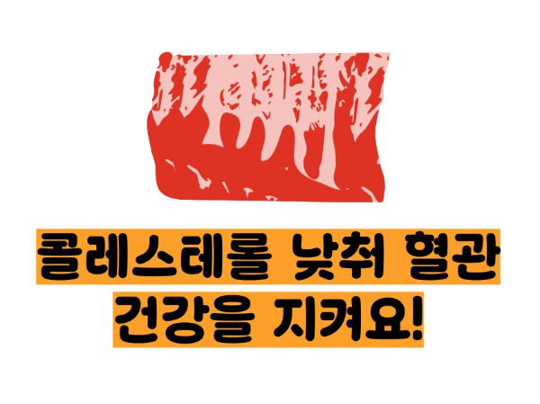 병아리콩 효능 부작용