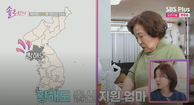 예지원 엄마 솔로라서 90세