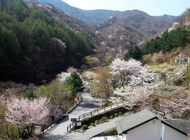 국립자연휴양림