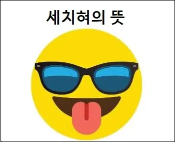 세치혀의 뜻