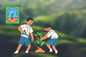 가드닝과 지속가능성 - 친환경 정원 만들기