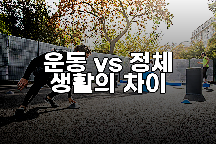 운동 vs 정체 생활의 차이