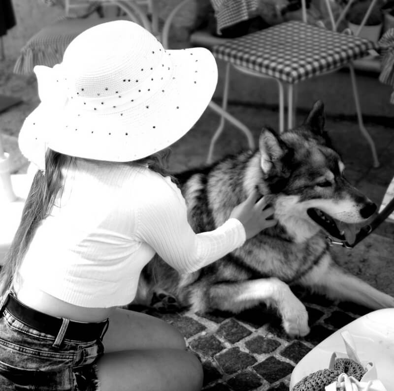 모자를 쓴 여자와 여자가 큰 개를 만지는 흑백사진