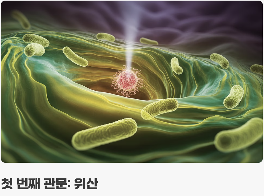 우리 유산균의 위험한 여정