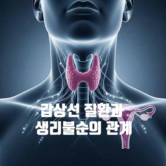 갑상선 질환과 생리불순의 관계