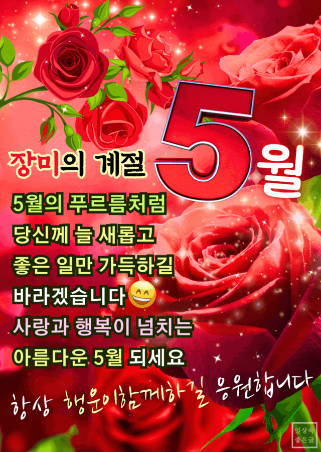 붉은 장미꽃과 함께 장미의 계절 5월을 기원하는 사랑과 행복의 메시지