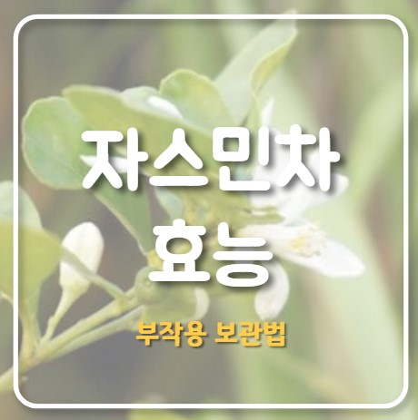 재스민차의 효능