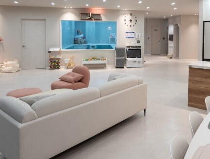 구공 스테이 폴당 펜션