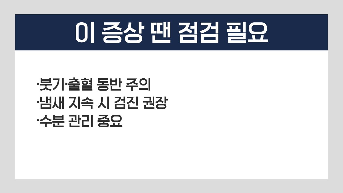 임플란트 냄새