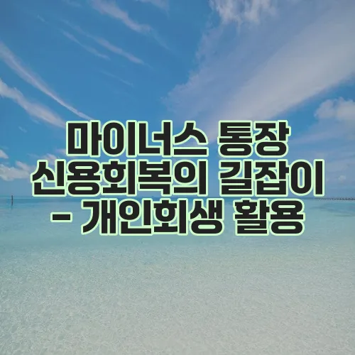 마이너스 통장 신용회복의 길잡이 - 개인회생 활용