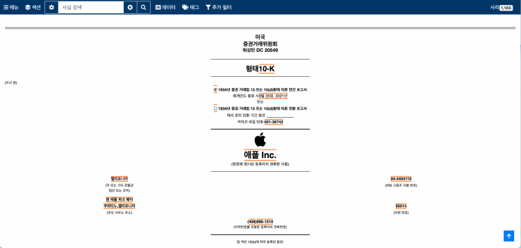 애플 연간보고서 번역