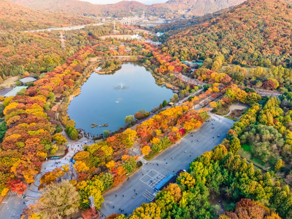 인천대공원 관련 사진