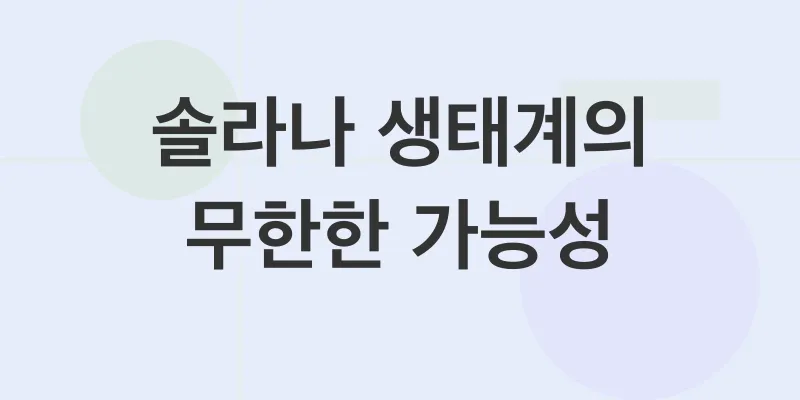 솔라나 전망_2