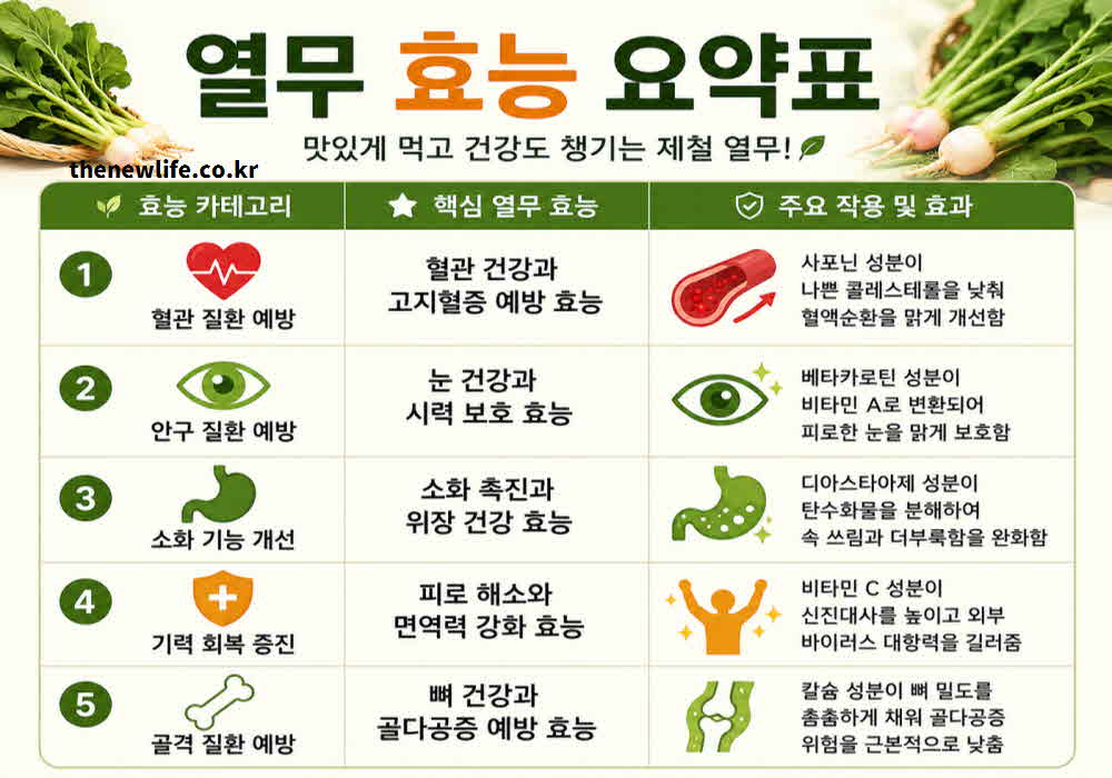 열무 효능 요약표