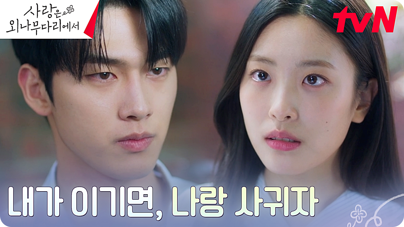 사랑은 외나무다리에서