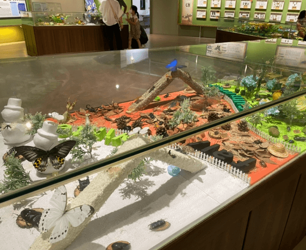 여주곤충박물관