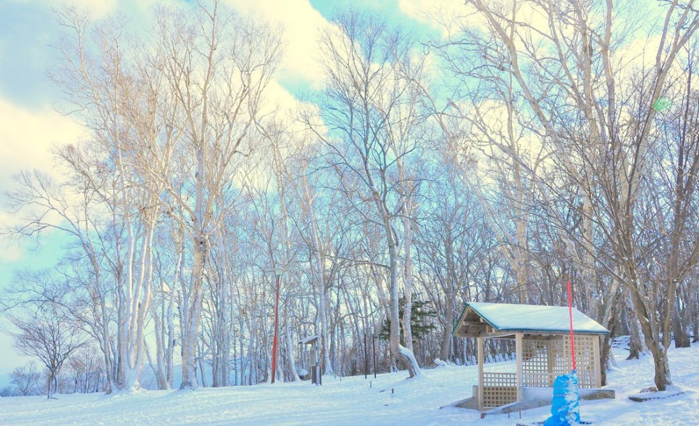 홋카이도 겨울 패션