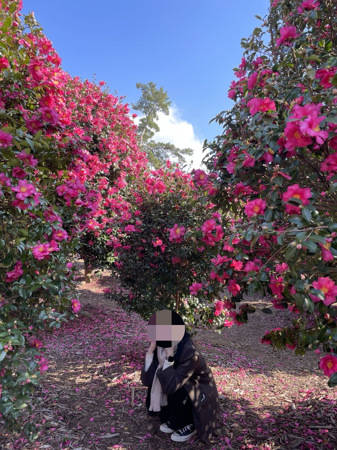 동백포레스트 스팟