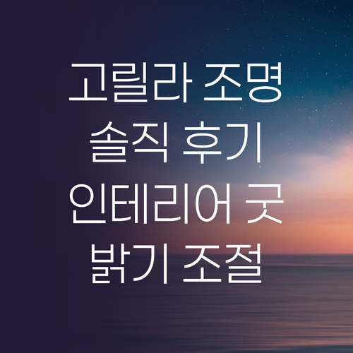 고릴라 장스탠드 솔직 후기 인테리어 ..
