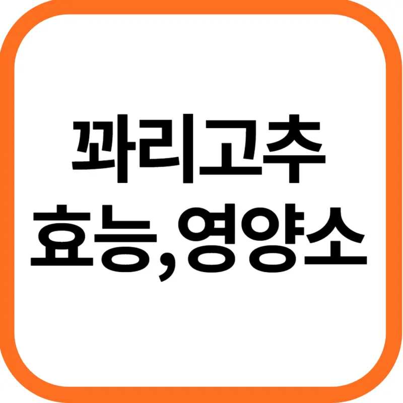 꽈리고추 효능 및 영양소