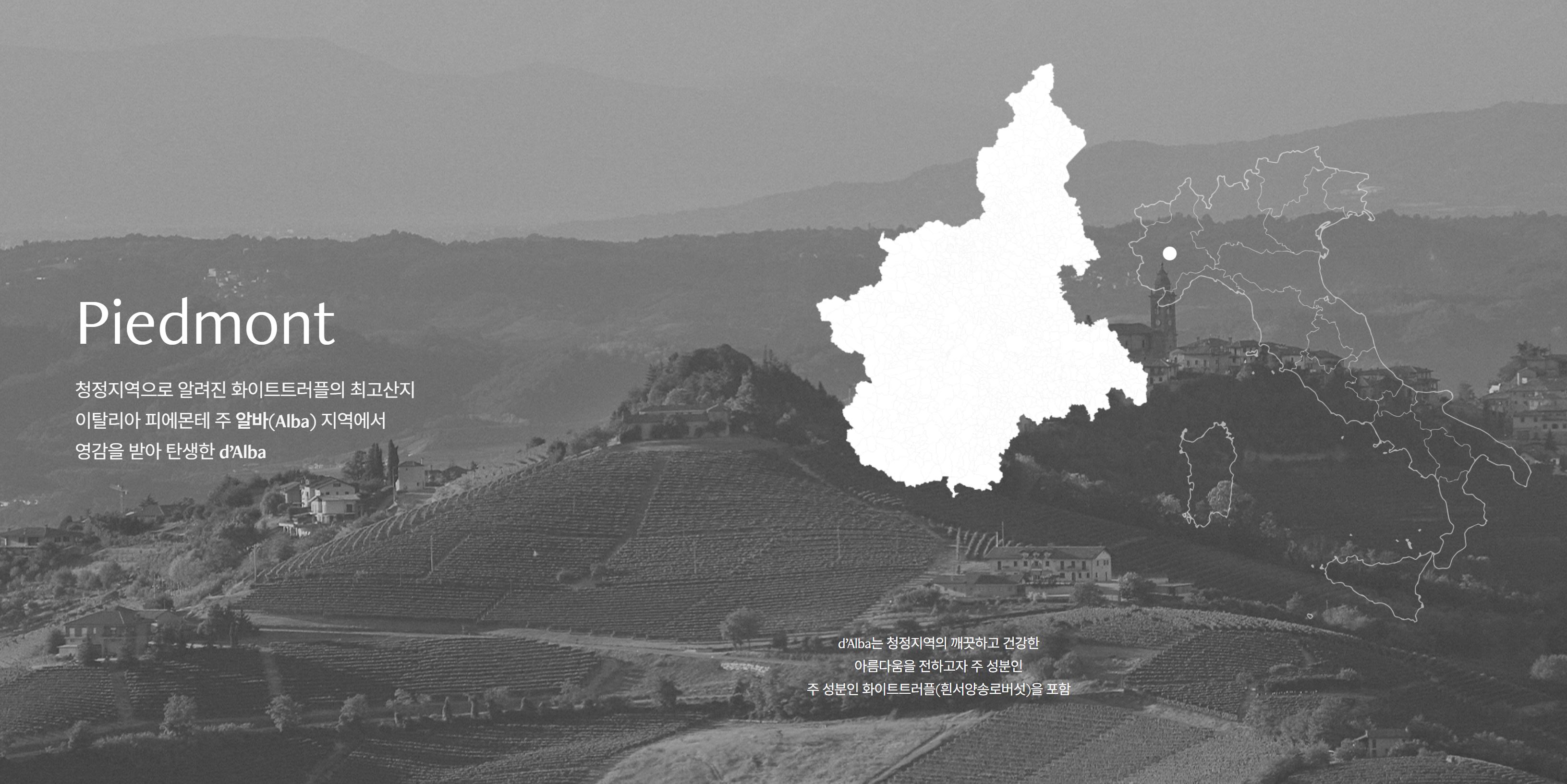 달바글로벌 수요예측결과 공모주 투자포인트