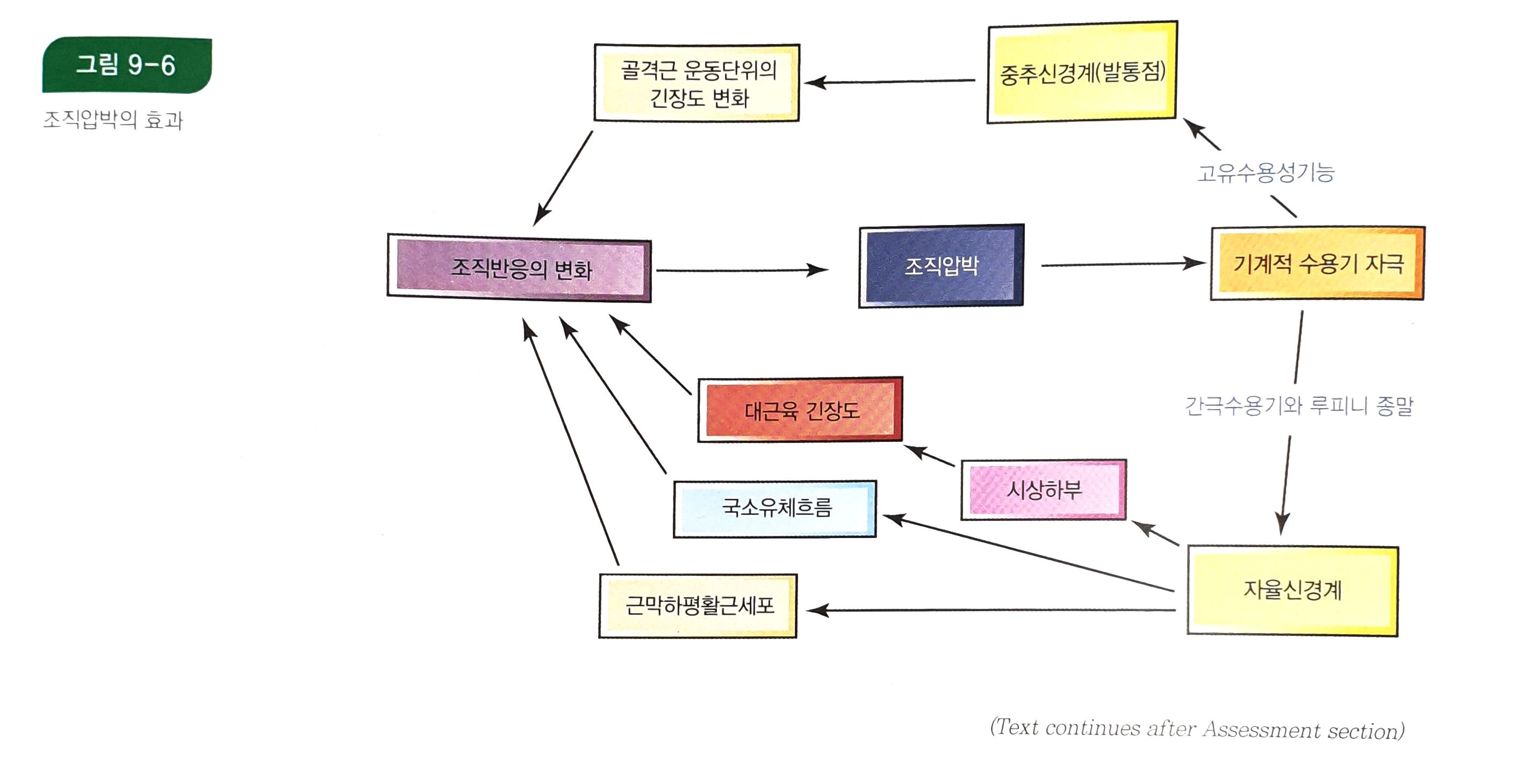 근막 이완 이점