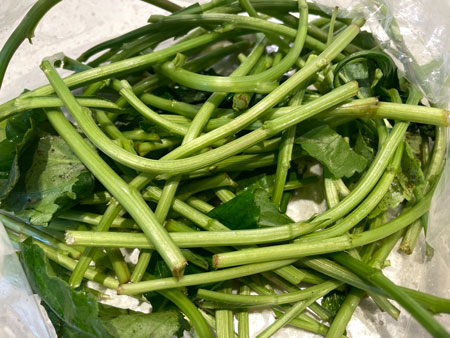 취나물 굵은 줄기