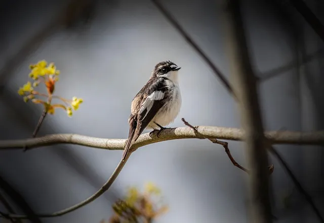 북유럽풍 인테리어 식물배치 톤맞추기 화분색감 관리 감성업_8