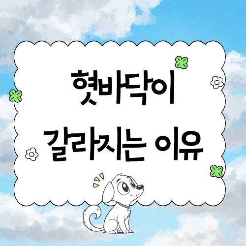 혓바닥이 갈라지는 이유